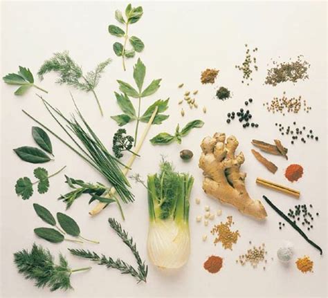 The Benefits Of Common Cooking Herbs Covington Weekly