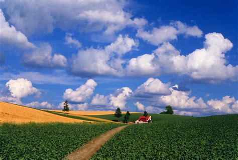 Sceneryphoto 夏の雲とジャガイモ畑と赤い家へと続く道 風景写真素材・壁紙の無料ダウンロードグリーティングカードサービス