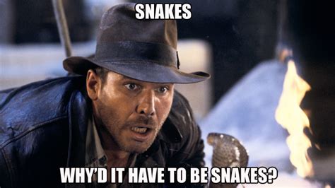 Quoting indiana jones never even borders on pretentious. I concur. | Fortune and Glory | Pinterest | Snake meme and ...