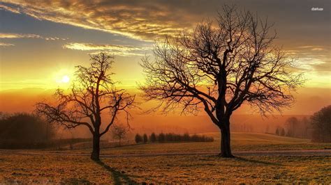 Late Autumn Sunset Wallpapers Wallpaper Cave