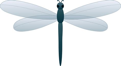 Drawing Dragonfly Clipart Clipart Kid