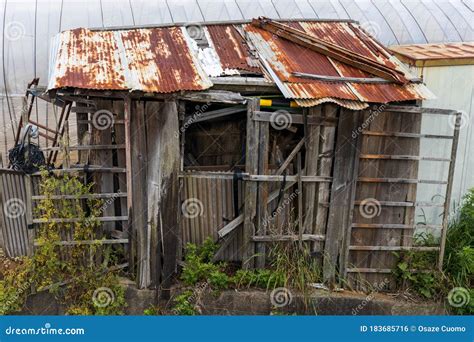 Dilapidated Wooden Farming Shed Stock Photo Image Of Shack Woodshed