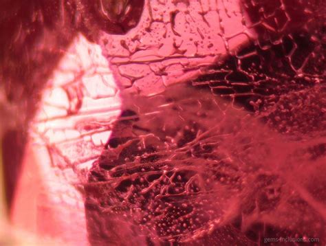 Vitreous Inclusions In Heat Treated Ruby Ruby Gemology Crystal Magic