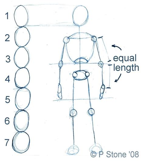 How To Draw A Basic Manga Character For Poses Manga