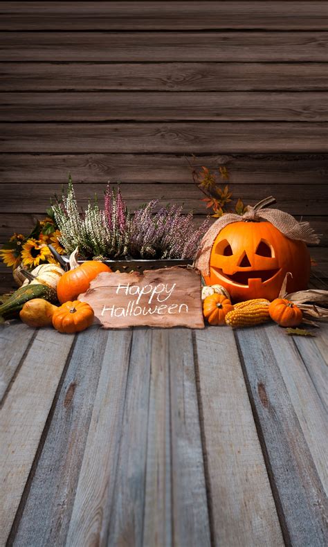 Huayi Happy Halloween Backgrounds Photo Backdrop Wood Floor Fabric