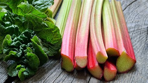 Is It Safe To Eat Rhubarb Leaves