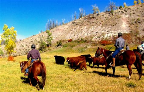 Cattle Drive Vacations At The Bitterroot Ranch Bitterroot Ranch