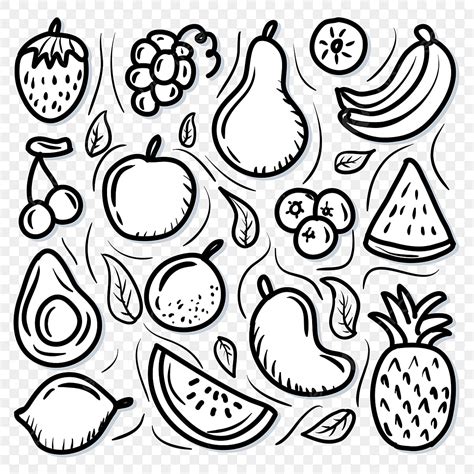 Fruit Doodle Vector Illustration Simple And Trendy Design Fruit