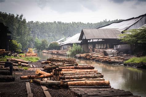 Charcoal Factory Kuala Sepetang Simple Living In Nancy By Products