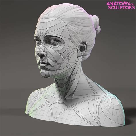 Young Woman Model Anatomy For Sculptors On Artstation At