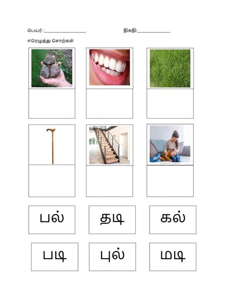 Tamil Two Letter Words Interactive Worksheet Two Letter Words Letter