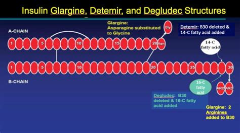 Figure 3 Insulin Glargine And Detemir Structures Endotext Ncbi