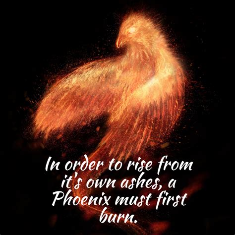 In Order To Rise From Its Own Ashes A Phoenix Must First Burn