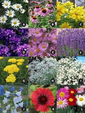 Plants in these gardens tend to be long blooming or fragrant, though these are not requirements. Flowers for a cutting garden that bloom from late spring ...