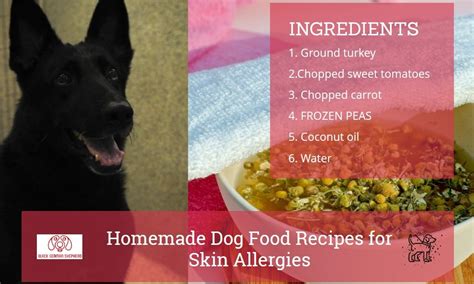 🐶homemade Dog Food Recipes For Skin Allergies 2022