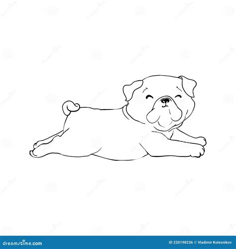 Pug Vector Hand Drawing Illustration In Black Color Isolated Stock