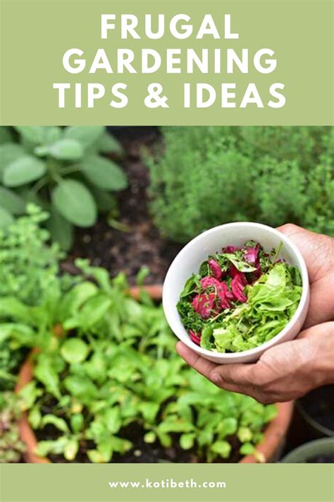 Frugal Gardening Tips And Tricks Koti Beth