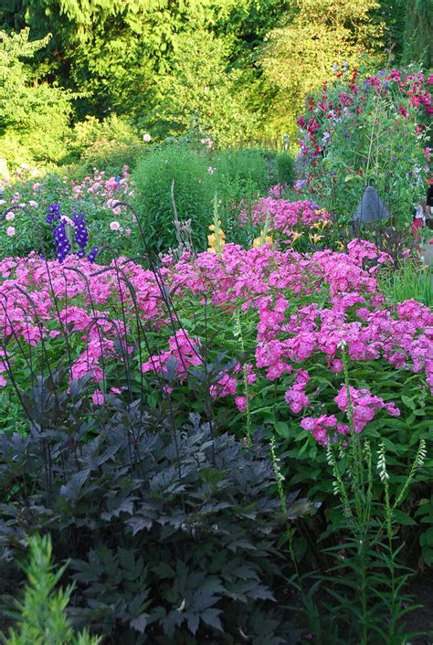 You'll want to include many different plants to. Cottage Gardens:Tesselaar Plants Offers These Tips for ...