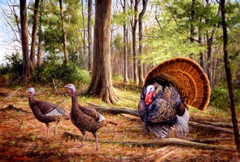 Pin By Renona Frey On Artsy Fartsy Wild Turkey Turkey Hunting