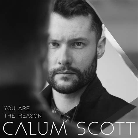 Calum Scott - You Are the Reason Lyrics | Genius Lyrics