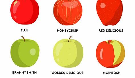 9 Different Types of Apples Commonly Available: Guide and Pictures