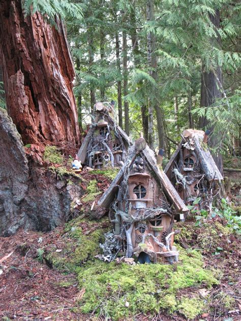 Gnome Homes On A Big Old Cedar Stump Whimsical Woods