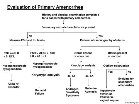 Primary Amenorrhea Pptx Muhadharaty