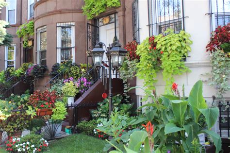 PHOTOS: 'Greenest Block' Award Goes to Flatbush's East 25th Street