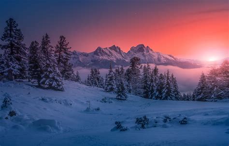 Wallpaper Winter Snow Trees Sunset Mountains Austria Ate Alps