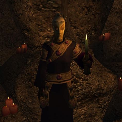 My First Time Playing Morrowind Heres My Altmer Mage Peter Rmorrowind
