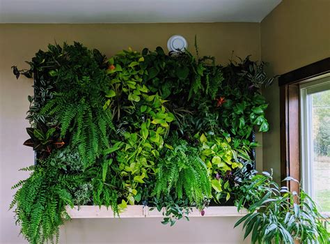 Diy Green Wall Vertical Garden Everything You Need To Know About