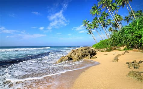 Download 3840x2400 Wallpaper Beach Sea Waves Tropical Beach Palm