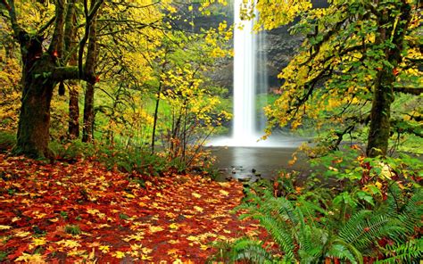 Waterfall In Autumn Forest Wallpapers And Images Wallpapers Pictures Photos