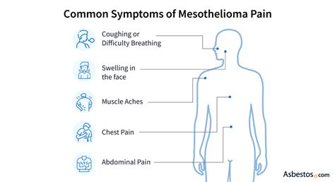 Managing Mesothelioma Pain Symptoms Causes And Treatments