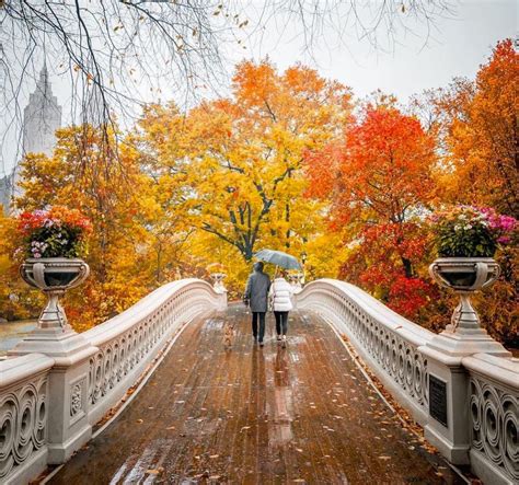 Gorgeous Fall Foliage In New York City Right Now