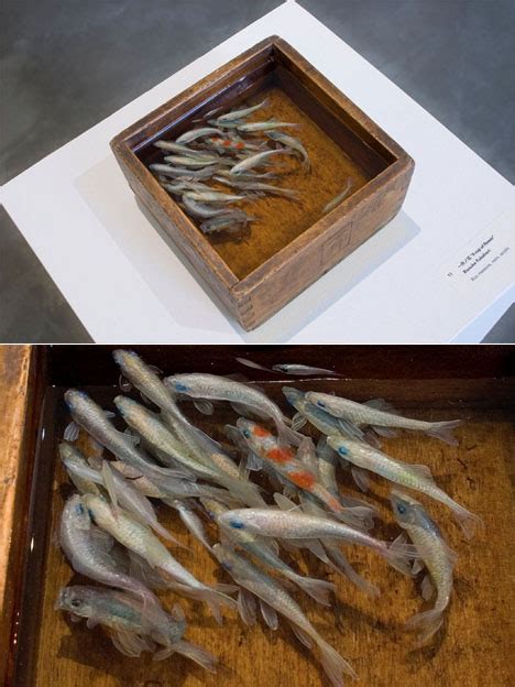 Ikan tenggiri merupakan salah satu ikan laut yang banyak ditemukan di perairan indonesia. "LiFe InSpiRaTioN": LuKiSaN IKaN 3 DiMeNSi YanG HeBaT
