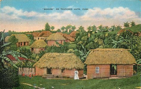 Cuba Bohios Or Thatched Huts Linen Postcard Ebay