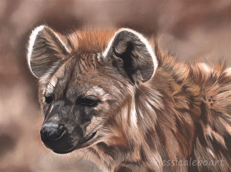 How To Blend Colored Pencils On Paper - Blending Pencil