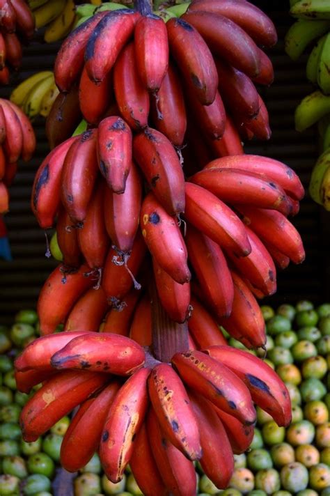 7 Varieties Of Bananas You Should Try On Your Next Hawaiian Vacation