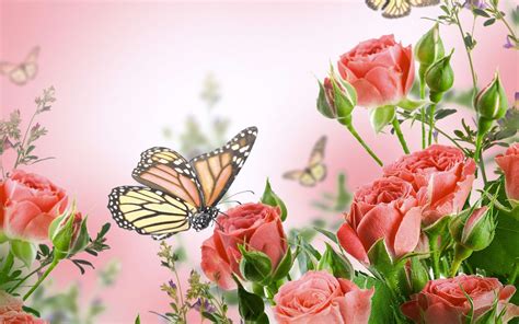 Flowers And Butterflies Wallpapers Wallpaper Cave