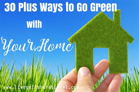 30 Plus Ways To Go Green With Your Home Your Lower Al Agent