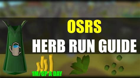 Osrs Herb Run Guide Full Guide 2022 1mgp Per Day Youtube