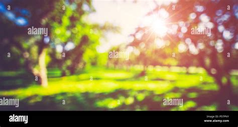 20 Background Nature Blur Sun Rays Wallpaper Hd Basty Wallpaper