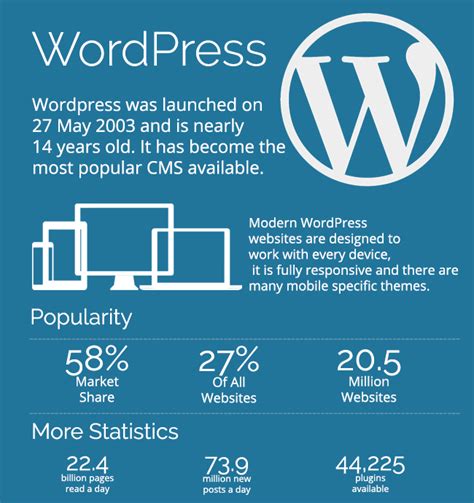 What Is Wordpress Ultimate Guide For Beginners Infographic Included