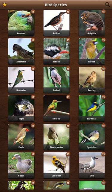 The app is easy to use: Bird Calls Bird Guide with 2000+ Songs & Sounds for ...