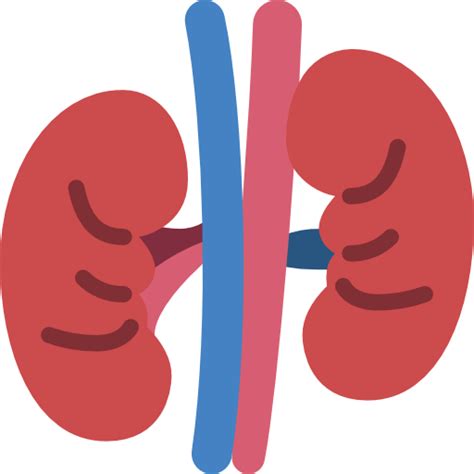 Kidney Free Medical Icons
