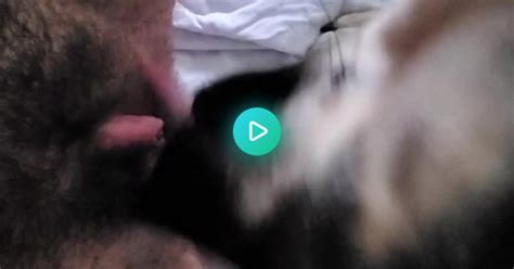 Dog Licking Pussy Album On Imgur