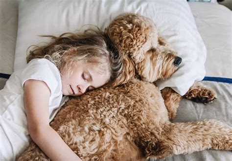Cute Pictures Of Dogs Napping With Kids And Babies Popsugar Uk