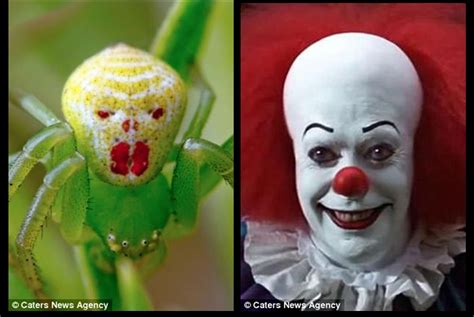 Talk Stephen King The Pennywise Spider Found Farm Heroes Farm Hero