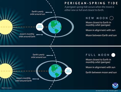 Spring Tides Occur When The Earth Moon And Sun Align As Shown In The